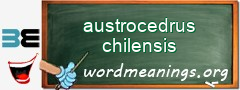 WordMeaning blackboard for austrocedrus chilensis